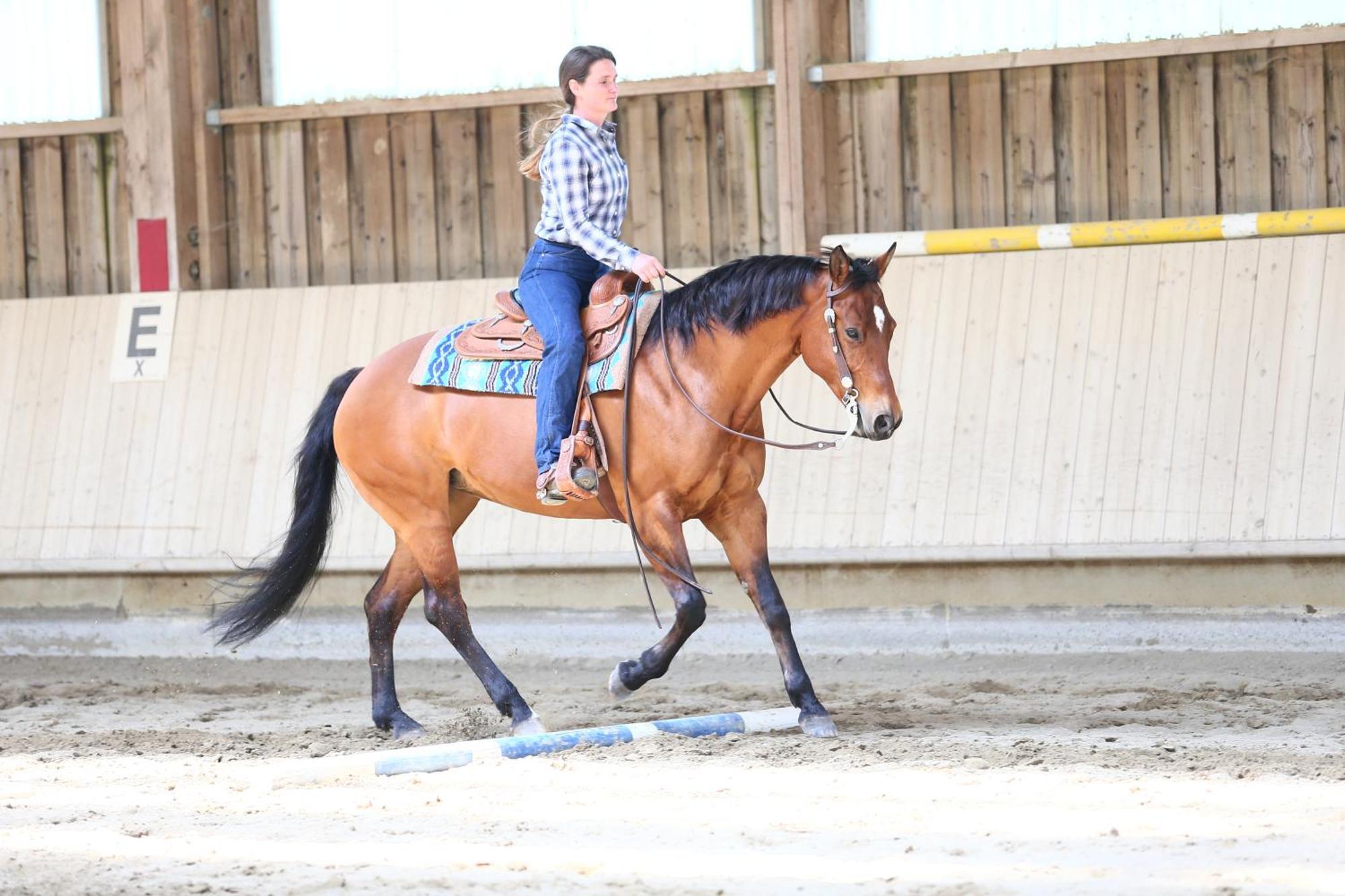 Sonnenhof, Auf Reitanlage *
