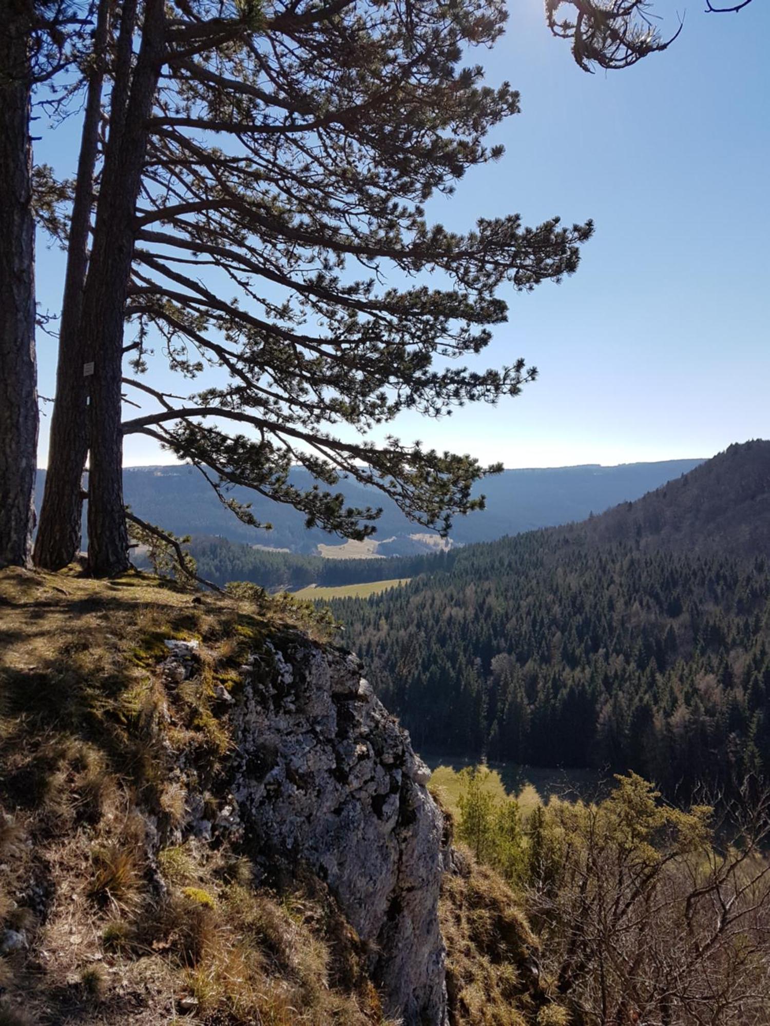 Apartment Sonnenhof, Auf Reitanlage Albstadt